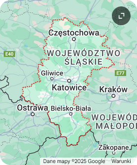 skup toyot śląskie