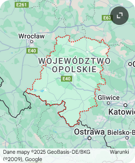 skup toyot opolskie